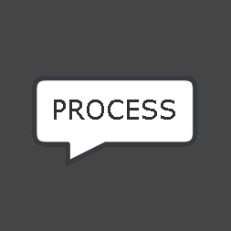 Process